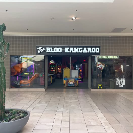 The Bloo Kangaroo Arcade