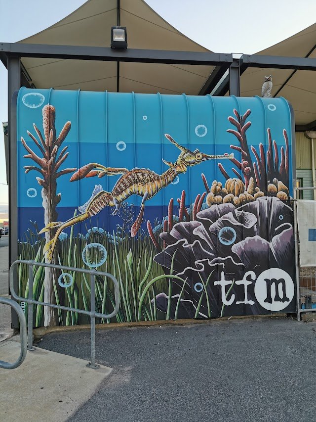 E Shed Markets