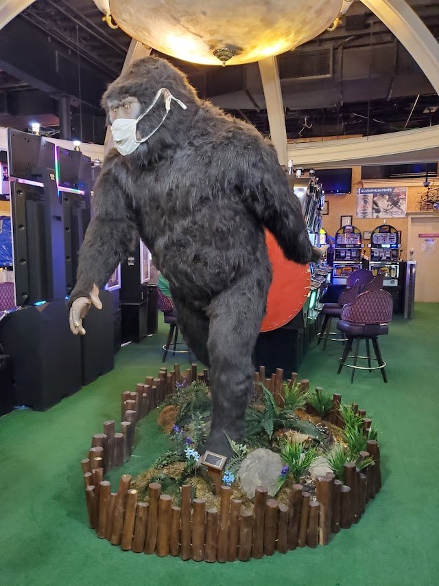 Sasquatch Casino