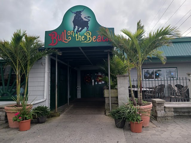 Bull on the Beach
