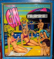 Image # 21999: Gin Backglass