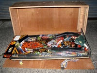 Image # 45307: Grand Lizard Playfield 
(This is a New Old Stock playfield in its crate from the manufacturer.)