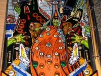 Image # 45309: Grand Lizard Middle Playfield 
(This is a New Old Stock playfield in its crate from the manufacturer.)