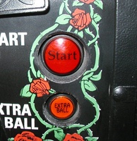 Image # 33091: Guns N' Roses Sample Game - Start Button 
(Here, the red button contains the word 'Start'. On production games, it has the words 'Start Rockin''. Game has serial number 110878 manufactured May 23, 1994.)