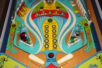 Image # 40126: Hang Glider Lower Playfield 
(Serial number 3323.)