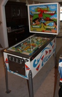 Image # 40131: Hang Glider Cabinet - Full View 
(Serial number 3323.)