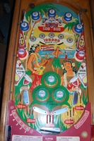 Image # 36065: Hawaiian Beauty Playfield