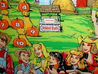 Image # 24641: Hay-Ride Added Ball Counter 
(Serial number HR-1179.)