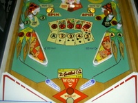 Image # 36118: Hearts and Spades Lower Playfield