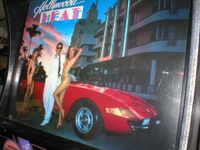 Image # 23307: Hollywood Heat Translite
