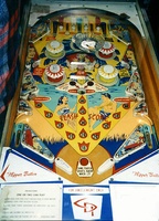 Image # 1185: Hula-Hula Playfield