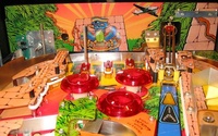 Image # 9431: Indiana Jones: The Pinball Adventure The Lost Plastic 
(The 'Lost Plastic' is a backlit plastic at the rear of the playfield which was removed from production machines.  This plastic was available as a reproduction and can be added, along with the backlighting, to almost any Indiana Jones machine.)