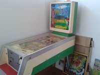 Image # 57398: Jungle Cabinet - Full View 
(The red color of the shelf in front of the coin door is not original to this game.)