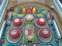 Image # 57402: Jungle Upper Playfield