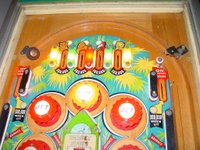Image # 19971: Jungle Upper Playfield