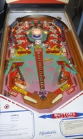 Image # 54241: Jungle Life Playfield 
(The spinning target on this game should have a 'lion' design.)