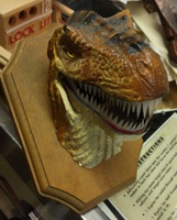 Image # 58677: Jurassic Park Prototype T-Rex 
(The pinball machine in this picture is Williams' 1967 'Apollo'.)