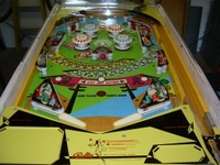 Image # 38132: Bali-Hi Playfield 
(Serial number 1012.)