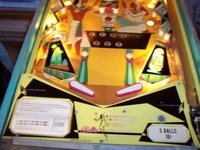 Image # 25362: King Rex Illuminated Lower Playfield 
(Serial number 1155.)