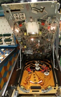 Image # 67596: Krull Lower Level Playfield 
(Serial number 01009E.)