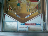 Image # 42176: Lariat Lower Playfield 
(Serial number 06130.)