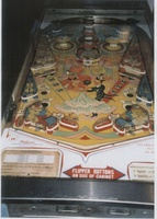 Image # 23050: Merry Widow Playfield