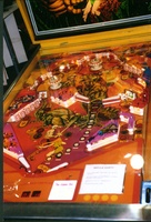 Image # 1539: Middle Earth Playfield