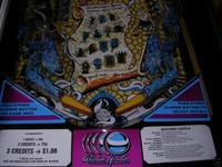Image # 33748: Mystery Castle Lower Playfield 
(Serial number 3550.)