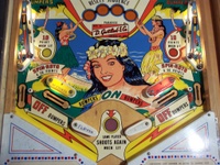 Image # 31459: Paradise Sample Game - Lower Playfield 
(Not discernable in this image, the highest point of each flipper inlane has the words '10 points' painted over in yellow. A thin red arrow still points outward from this area. Serial number '01081 S'.)