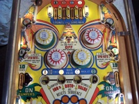 Image # 31458: Paradise Sample Game - Upper Playfield 
(Serial number '01081 S'.)