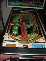 Image # 32788: Pat Hand Playfield