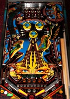 Image # 51698: Barracora Playfield