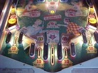 Image # 20600: Picnic Illuminated Lower Playfield