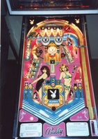 Image # 6463: Playboy Playfield 
(Serial number EPB15722.)