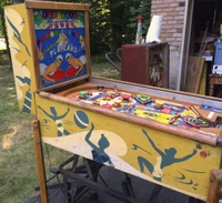 Image # 66545: Playland! Cabinet - Left
