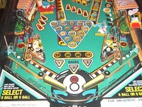 Image # 33200: Pool Sharks Lower Playfield 
(Mylared playfield.)
