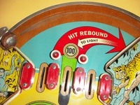 Image # 69112: Safari Playfield - Detail 
(Serial number 1354.)