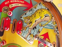 Image # 69114: Safari Playfield - Detail 
(Serial number 1354.)
