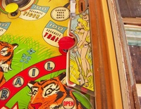 Image # 69115: Safari Playfield - Detail 
(Serial number 1354.)
