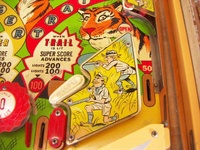 Image # 69118: Safari Playfield - Detail 
(The factory passive bumper between the flippers has been replaced by a pop bumper. Serial number 1354.)