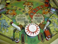 Image # 15660: Safari Lower Playfield 
(The passive bumper between the flippers in this picture has the wrong bumper cap.)