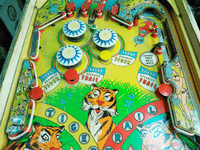 Image # 77359: Safari Early Production Middle Playfield 
(Serial number 1029.)