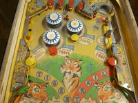 Image # 74618: Safari Early Production Middle Playfield 
(Serial number 1098.)