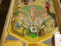 Image # 74619: Safari Early Production Lower Playfield 
(Serial number 1098.)