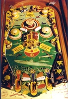 Image # 7498: Sea Wolf Playfield