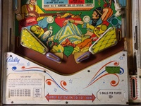 Image # 71194: Sheba Lower Playfield 
(Serial number SH-1621.)