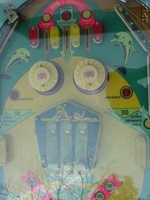 Image # 13867: Showtime Playfield - Detail