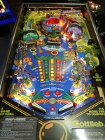 Image # 14150: Surf 'n Safari Playfield