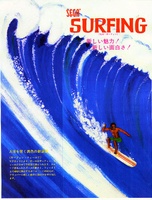 Image # 3494: Surfing Flyer, Front