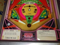 Image # 71185: Swinger Lower Playfield 
(Serial number 146386.)